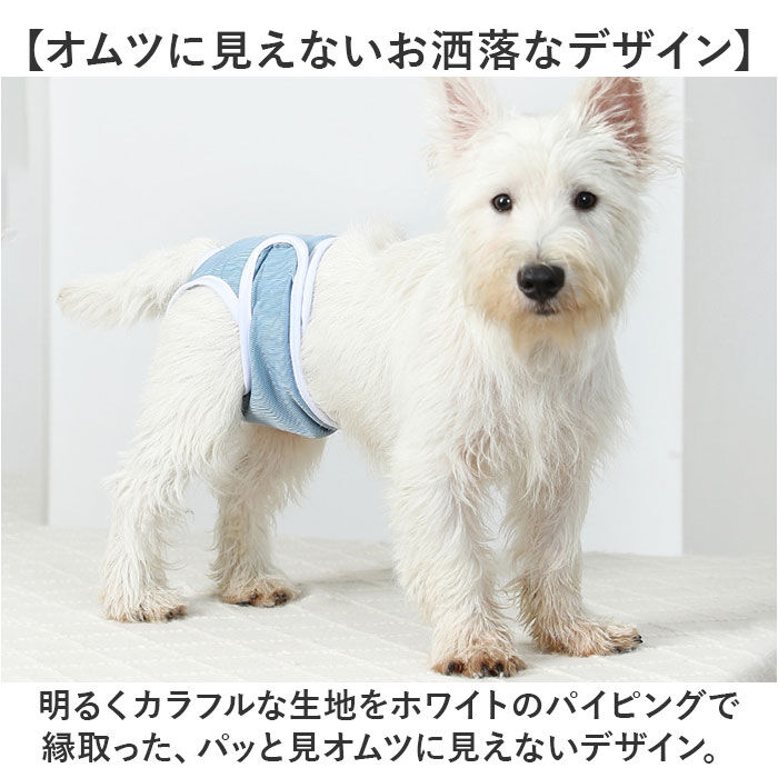 BACKYARD FAMILY「ペット 犬 マナーパンツ サニタリーパンツ 通販 生理パンツ 犬オムツ おむつ ドックウェア」|その他|