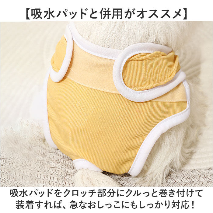BACKYARD FAMILY「ペット 犬 マナーパンツ サニタリーパンツ 通販 生理パンツ 犬オムツ おむつ ドックウェア」|その他|