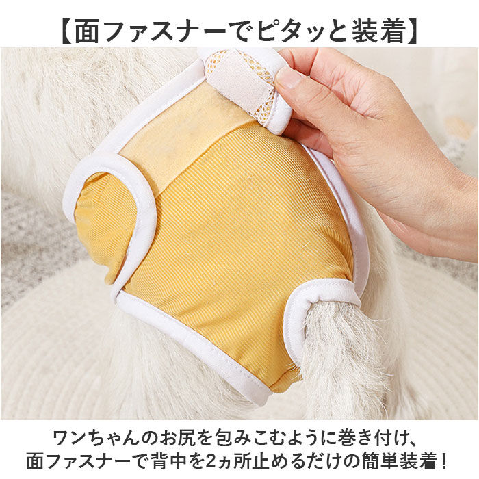 BACKYARD FAMILY「ペット 犬 マナーパンツ サニタリーパンツ 通販 生理パンツ 犬オムツ おむつ ドックウェア」|その他|