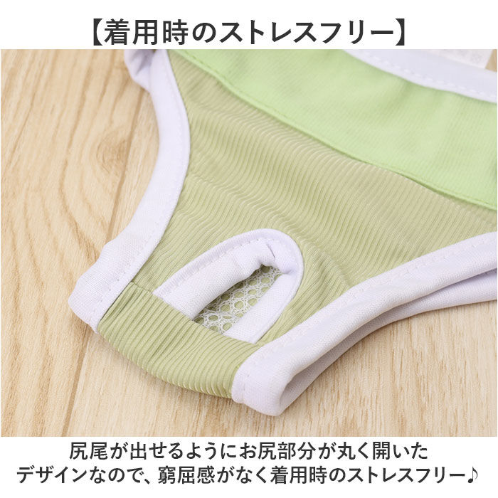 BACKYARD FAMILY「ペット 犬 マナーパンツ サニタリーパンツ 通販 生理パンツ 犬オムツ おむつ ドックウェア」|その他|