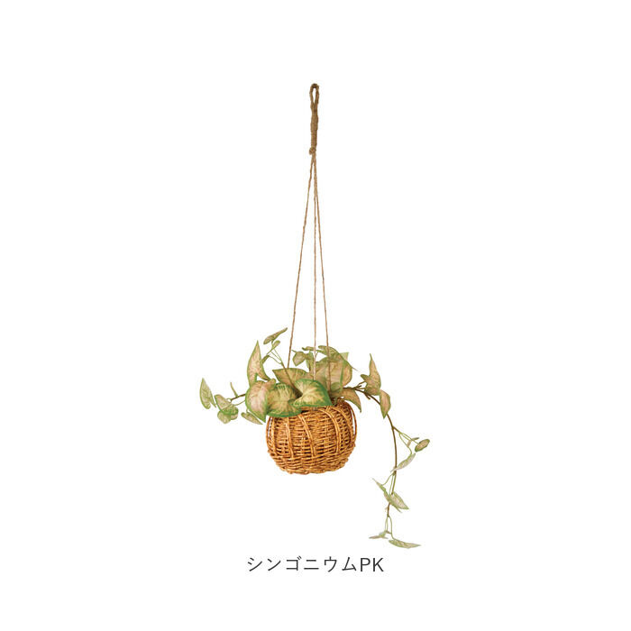 BACKYARD FAMILY「光触媒 フェイクグリーン 通販 観葉植物 人工観葉植物 ハンギング 吊り下げ ハンギングバスケット」|その他|