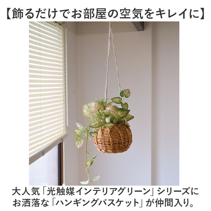 BACKYARD FAMILY「光触媒 フェイクグリーン 通販 観葉植物 人工観葉植物 ハンギング 吊り下げ ハンギングバスケット」|その他|