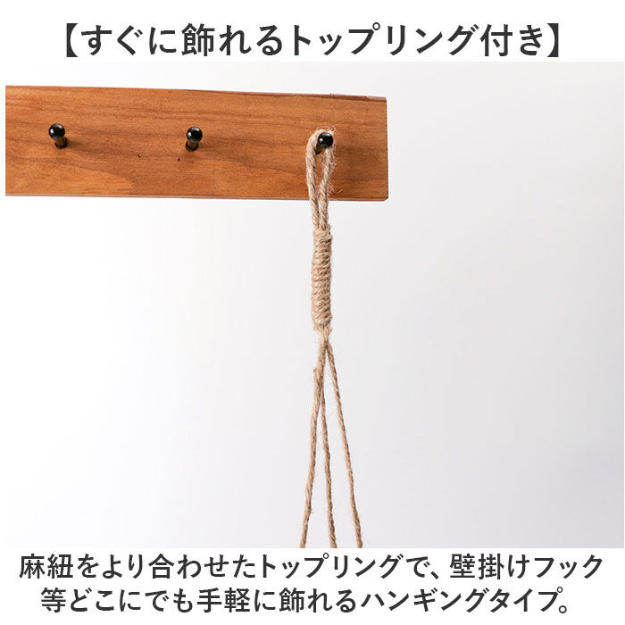 BACKYARD FAMILY「光触媒 フェイクグリーン 通販 観葉植物 人工観葉植物 ハンギング 吊り下げ ハンギングバスケット」|その他|