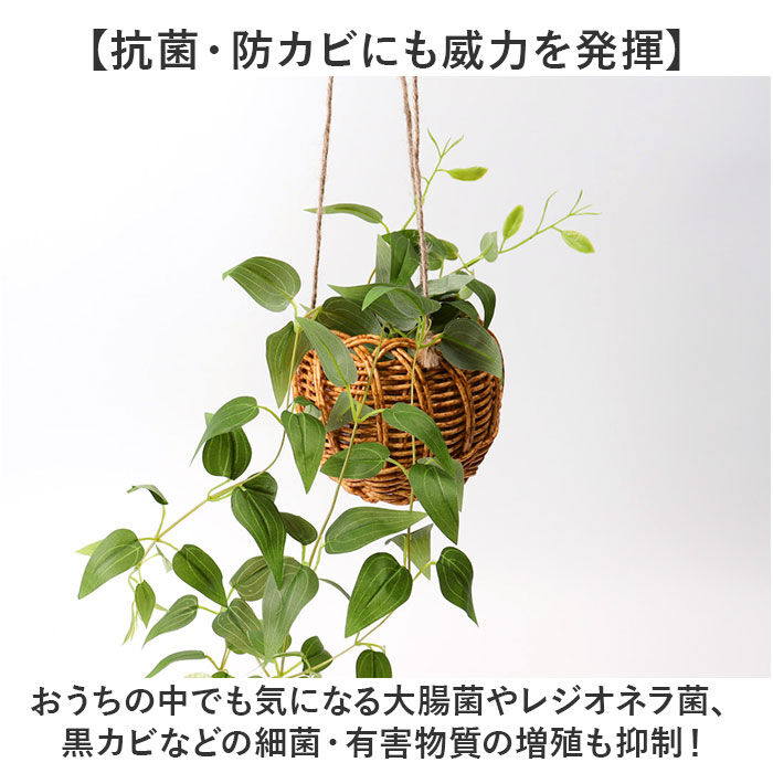 BACKYARD FAMILY「光触媒 フェイクグリーン 通販 観葉植物 人工観葉植物 ハンギング 吊り下げ ハンギングバスケット」|その他|