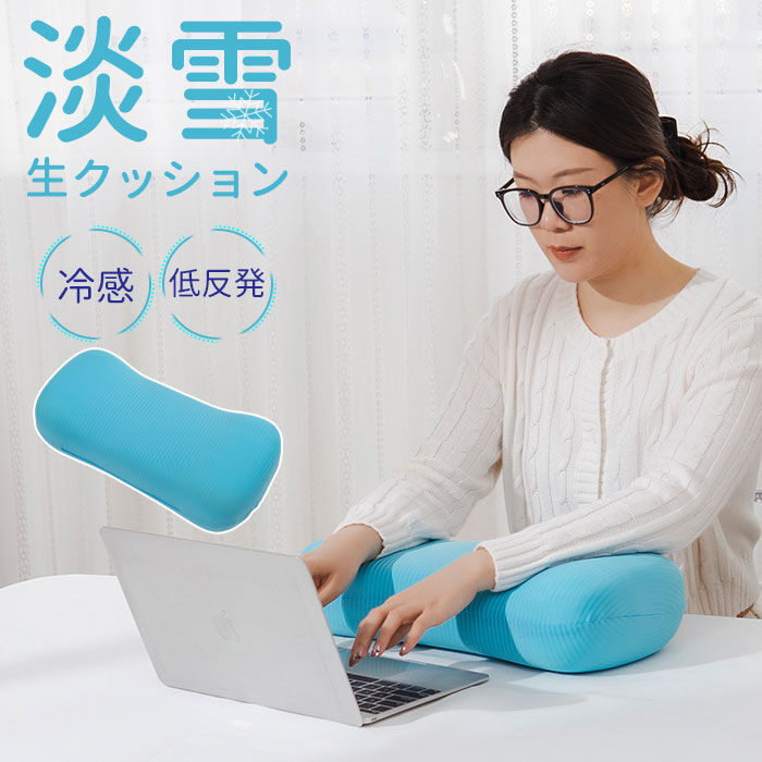 BACKYARD FAMILY「クッション 低反発 通販 低反発接触冷感クッション 低反発クッション マルチクッション 楕円」|その他|