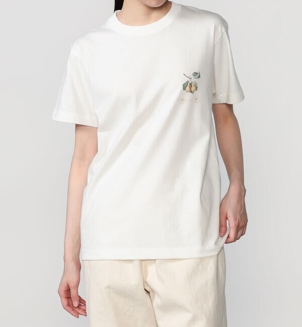  「History of Art | プリントTシャツ PEAR WOMEN」|Tシャツ・カットソー|