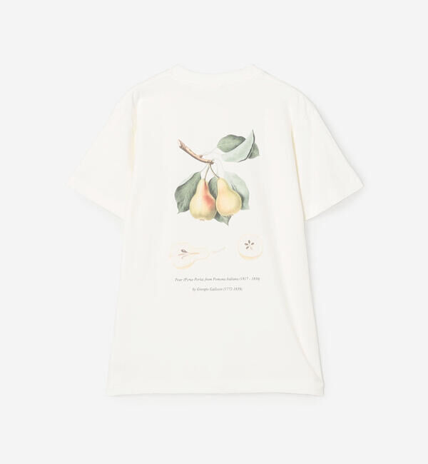  「History of Art | プリントTシャツ PEAR WOMEN」|Tシャツ・カットソー|