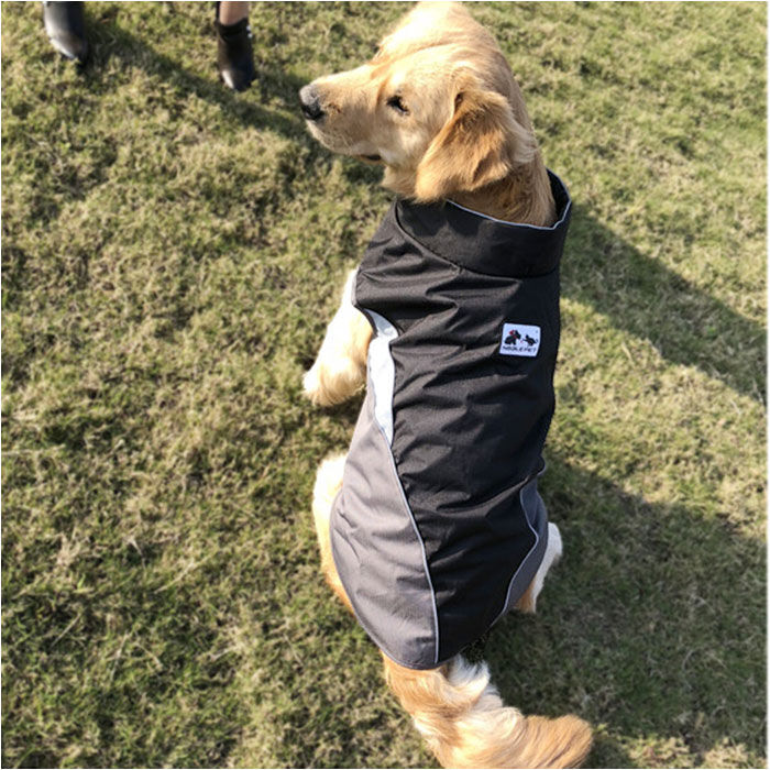 BACKYARD FAMILY「レインコート 犬用 通販 ｌサイズ xlサイズ ドッグウェア 犬のカッパ 犬レインコート 雨カッパ」|その他|