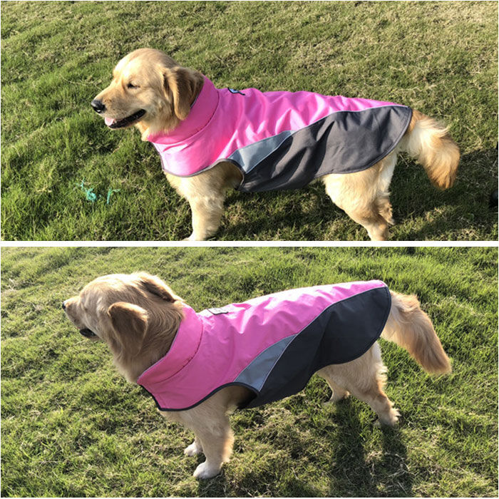 BACKYARD FAMILY「レインコート 犬用 通販 ｌサイズ xlサイズ ドッグウェア 犬のカッパ 犬レインコート 雨カッパ」|その他|