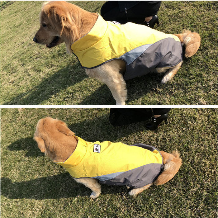 BACKYARD FAMILY「レインコート 犬用 通販 ｌサイズ xlサイズ ドッグウェア 犬のカッパ 犬レインコート 雨カッパ」|その他|
