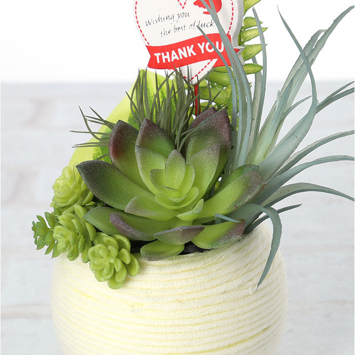 BACKYARD FAMILY「観葉植物 フェイク 小さい 通販 フェイクグリーン アーティフィシャルグリーン インテリアグリーン」|その他|