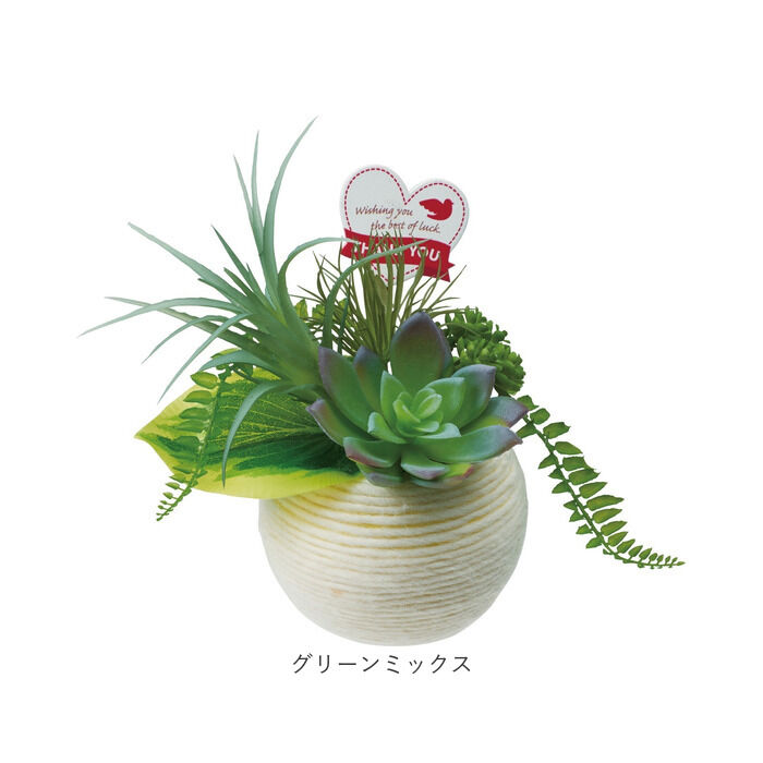 BACKYARD FAMILY「観葉植物 フェイク 小さい 通販 フェイクグリーン アーティフィシャルグリーン インテリアグリーン」|その他|
