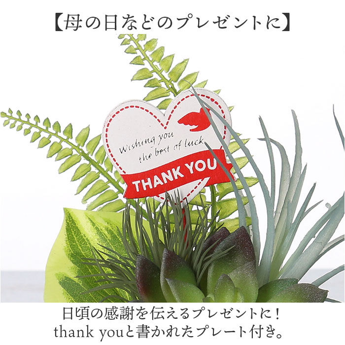 BACKYARD FAMILY「観葉植物 フェイク 小さい 通販 フェイクグリーン アーティフィシャルグリーン インテリアグリーン」|その他|
