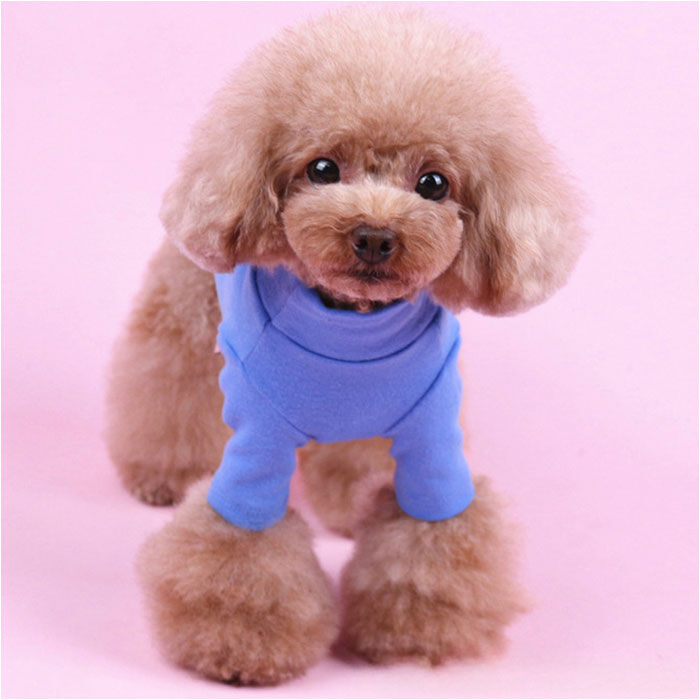 BACKYARD FAMILY「ペット ドッグウェア Tシャツ カットソー 通販 犬服 犬の服 防寒着 部屋着 犬用Tシャツ」|その他|