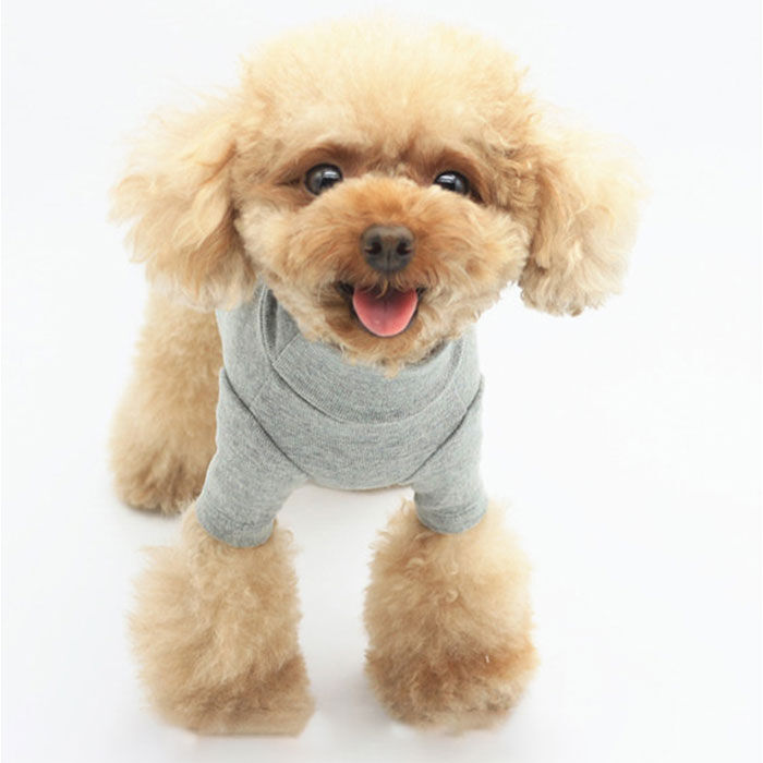BACKYARD FAMILY「ペット ドッグウェア Tシャツ カットソー 通販 犬服 犬の服 防寒着 部屋着 犬用Tシャツ」|その他|