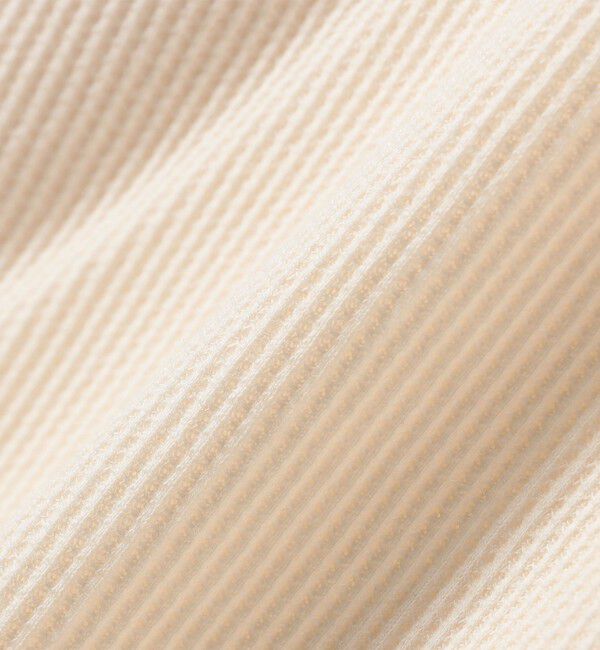 SHIPS any「Hanes:〈洗濯機可能〉BEEFY-T ワッフル ヘンリーネック ロングスリーブ TEE」|Tシャツ・カットソー|