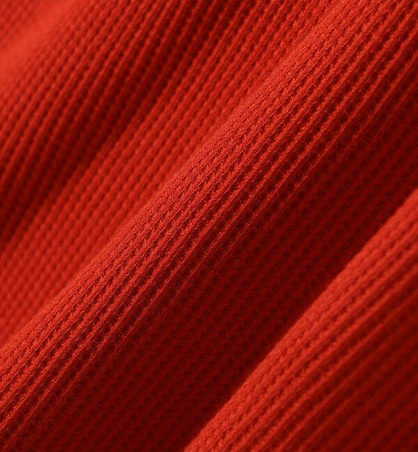 SHIPS any「Hanes:〈洗濯機可能〉BEEFY-T ワッフル ヘンリーネック ロングスリーブ TEE」|Tシャツ・カットソー|