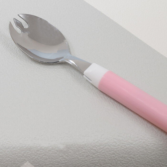 BACKYARD FAMILY「先割れスプーン ケース付き 通販 日本製 プチフルール ランチスプーン 先割れスプーン＆ケース」|食器・キッチングッズ|