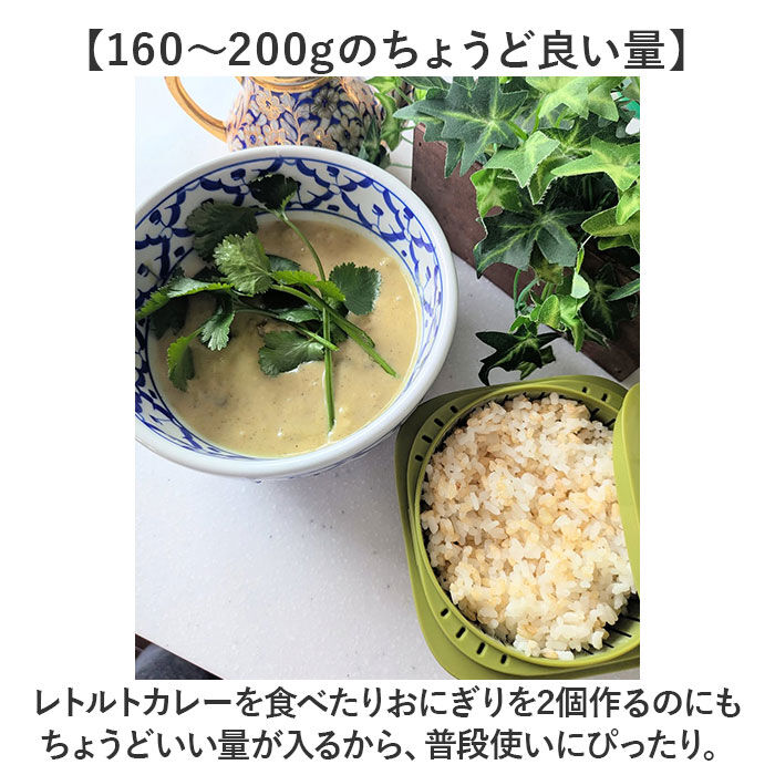 like-it「like-it 蒸気であたためる冷凍ごはん容器 6個組 通販 日本製 保存容器 容器 冷凍」|食器・キッチングッズ|