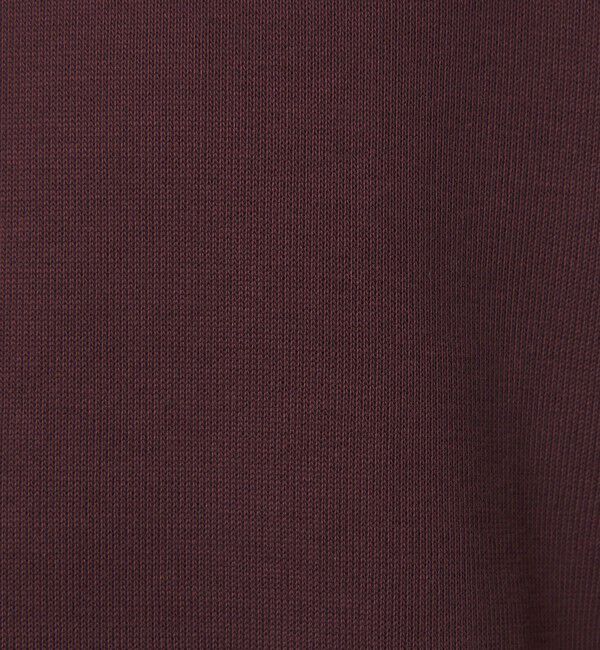 STEVEN ALAN「＜Steven Alan＞ ダブルフェイス モックネック カットソー」|Tシャツ・カットソー|