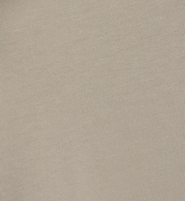 ABAHOUSE「【快適速乾】ALL SEASON COTTON Vネック スキッパーTシャツ /」|Tシャツ・カットソー|