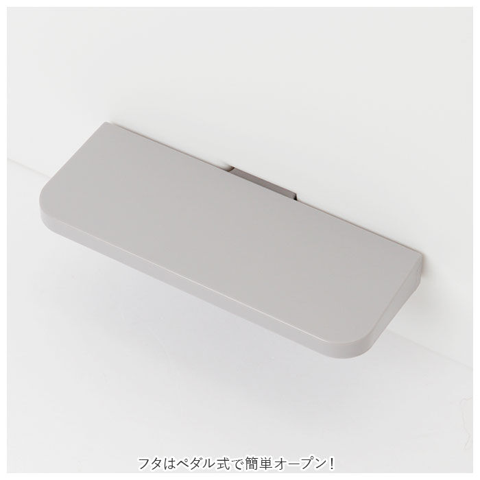 BACKYARD FAMILY「キッチン ゴミ箱 ペダル 25L 通販 ごみ箱 スリム 分別 ペダル式ゴミ箱 低く開く」|ダストボックス|