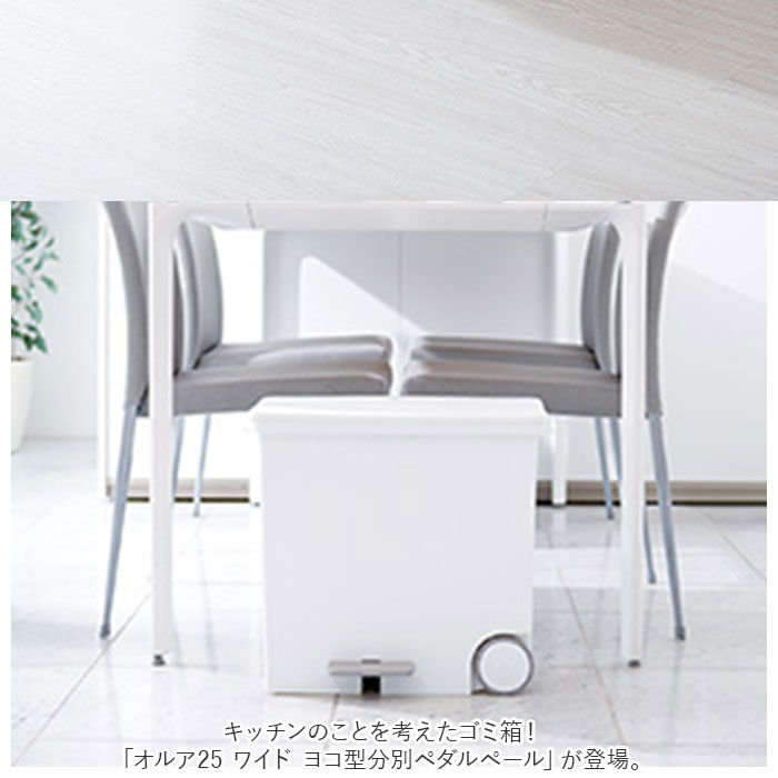 BACKYARD FAMILY「キッチン ゴミ箱 ペダル 25L 通販 ごみ箱 スリム 分別 ペダル式ゴミ箱 低く開く」|ダストボックス|