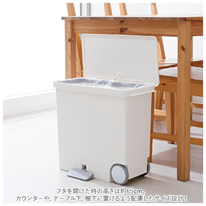 BACKYARD FAMILY「キッチン ゴミ箱 ペダル 25L 通販 ごみ箱 スリム 分別 ペダル式ゴミ箱 低く開く」|ダストボックス|