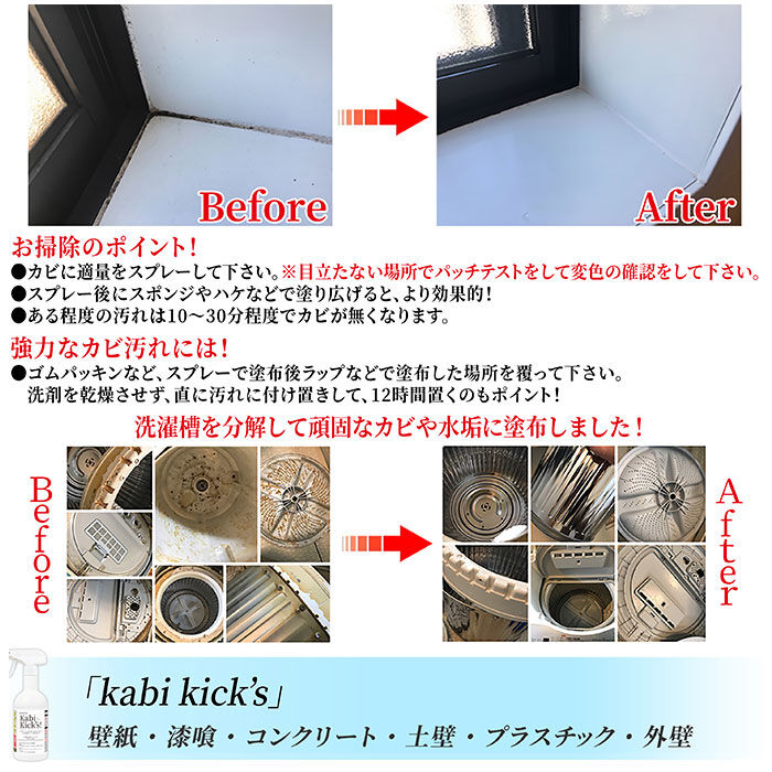 BACKYARD FAMILY「カビ取り剤 カビキックス 通販 KABIKICKS スプレー カビ 掃除用洗剤 掃除用品 掃除用具」|その他|