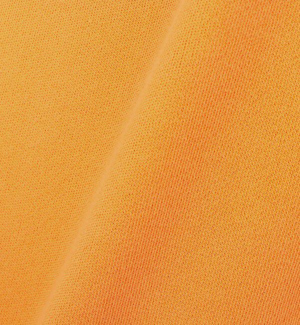 NOLLEY'S goodman「BARNS OUTFITTERS別注 スウェットハーフジップ 26AW」|スウェット・ジャージ|