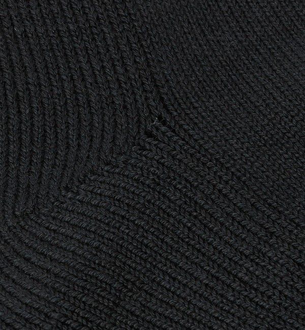 BEAUTY&YOUTH UNITED ARROWS「 2ライン パイル クルー ソックス」|ソックス|