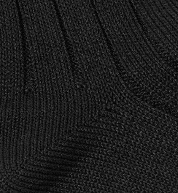 BEAUTY&YOUTH UNITED ARROWS「シルケット リブ レギュラー ソックス」|ソックス|