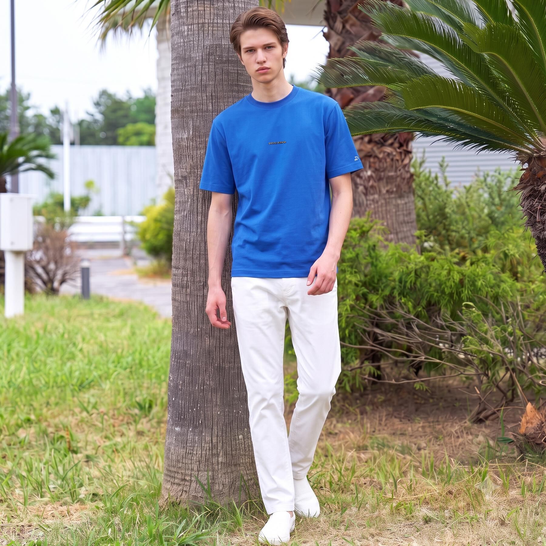 DRESSTERIOR「【接触冷感／抗菌防臭／消臭】ICE CLEAR COTTON NINEストリートTシャツ」|Tシャツ・カットソー|