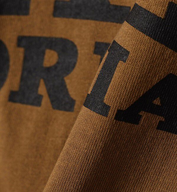 SHIPS any「【SHIPS any別注】THE KNiTS:〈洗濯機可能〉ロゴ プリント リンガー TEE」|Tシャツ・カットソー|