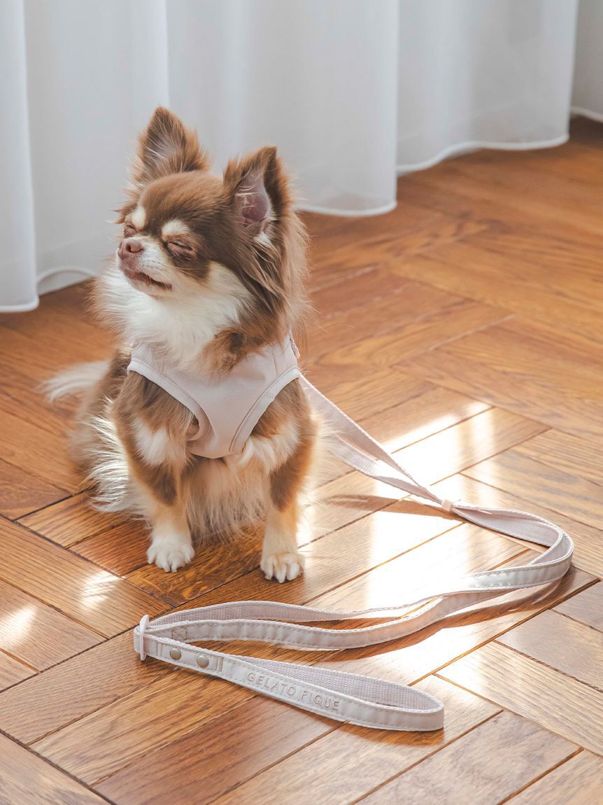  GELATO PIQUE CAT&DOG「【CAT&DOG】【販路限定商品】リード」|その他|