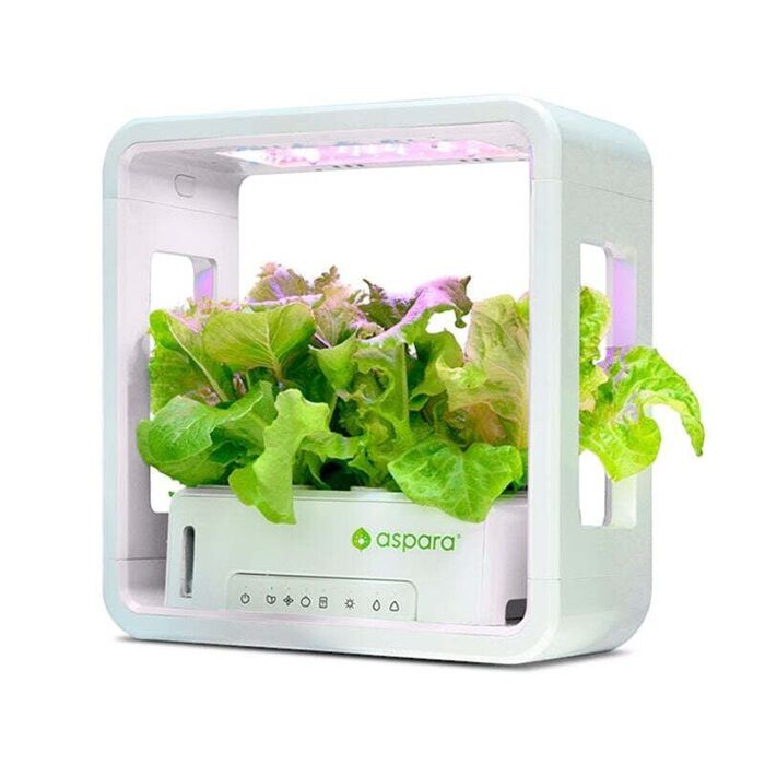 BACKYARD FAMILY「水耕栽培キット 通販 水耕栽培 野菜栽培 家庭菜園 屋内用水耕栽培キット 自動水やり 室内菜園」|その他|