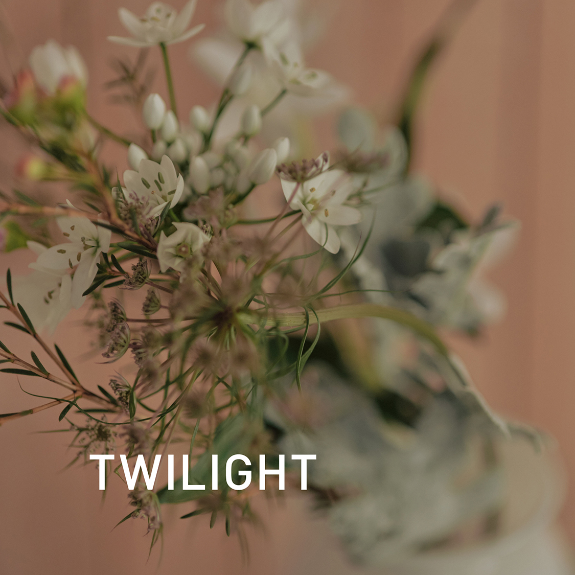 ショップニュースサムネ画像