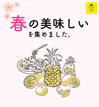 ニュース画像