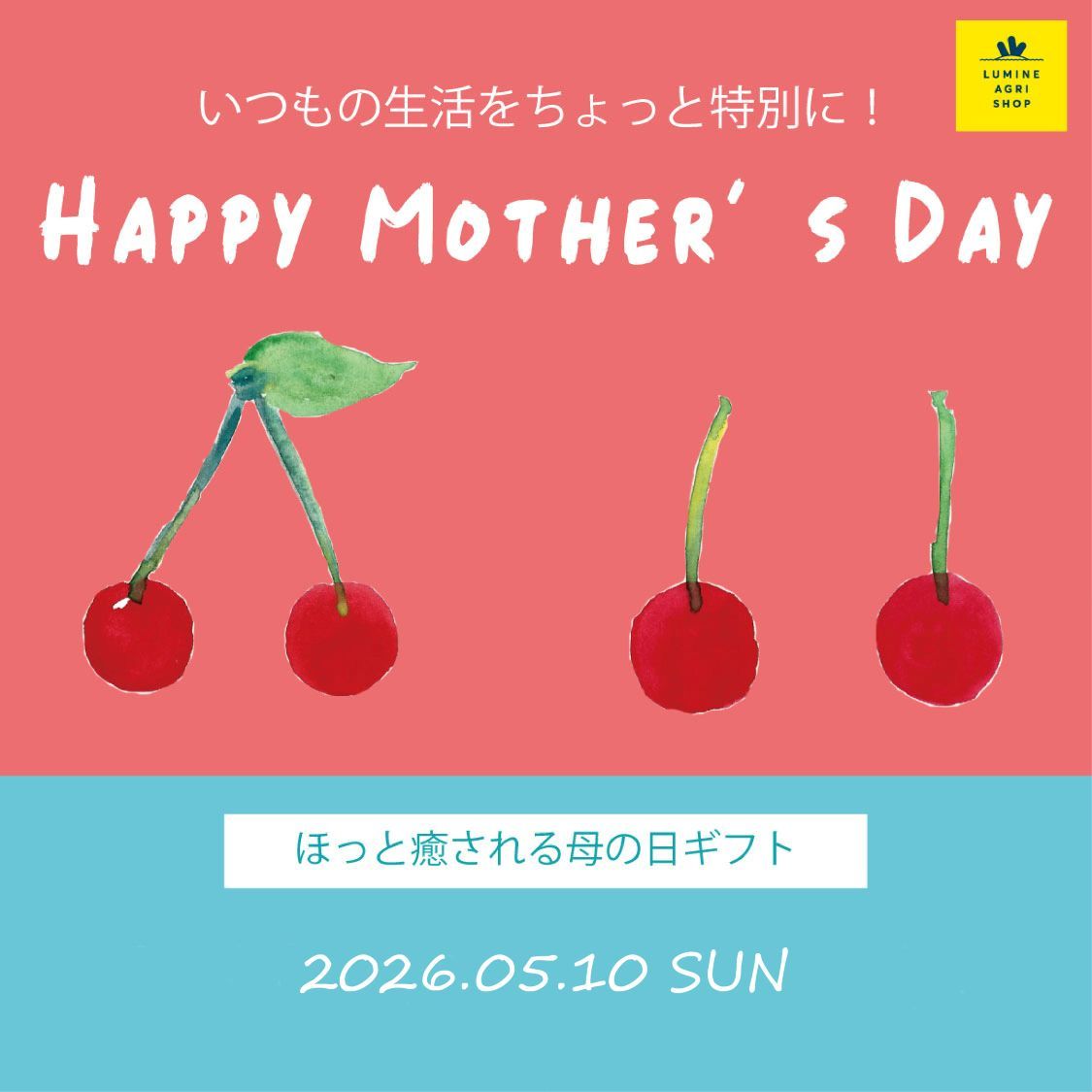 ショップニュースサムネ画像