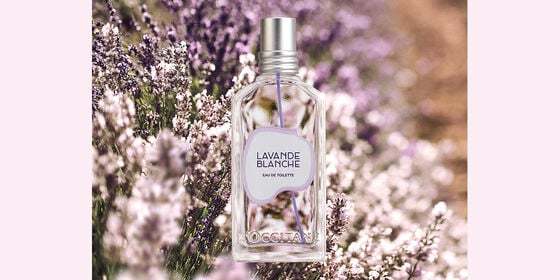 イベントページサムネイル画像