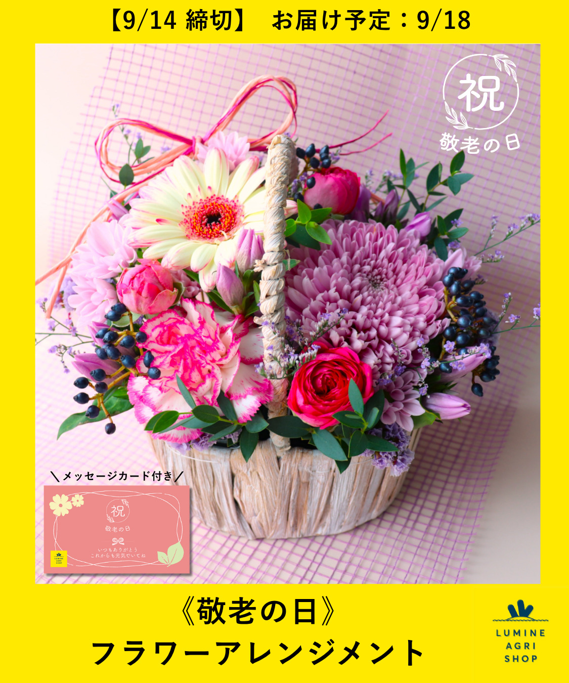 ニュース画像