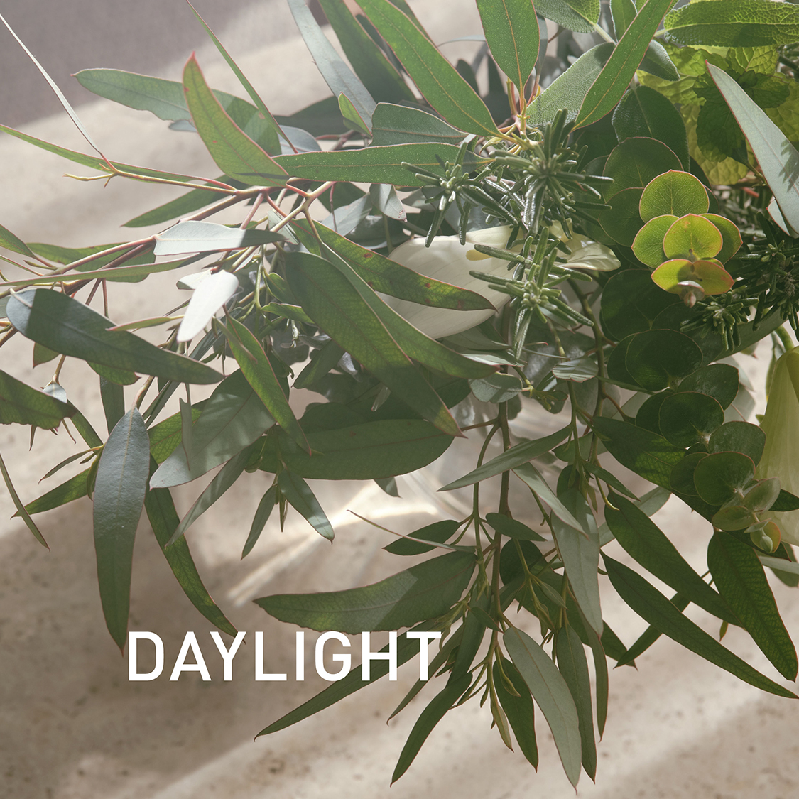 ショップニュースサムネ画像