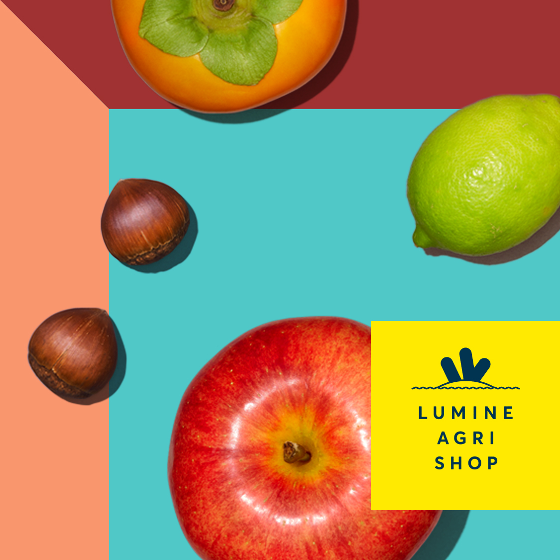 LUMINE AGRI PEOJECTについて