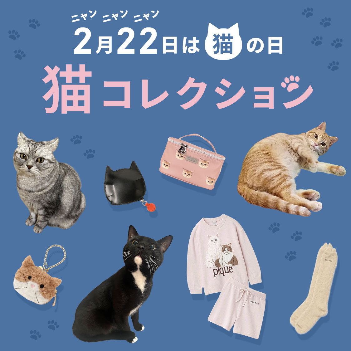 特集サムネ画像