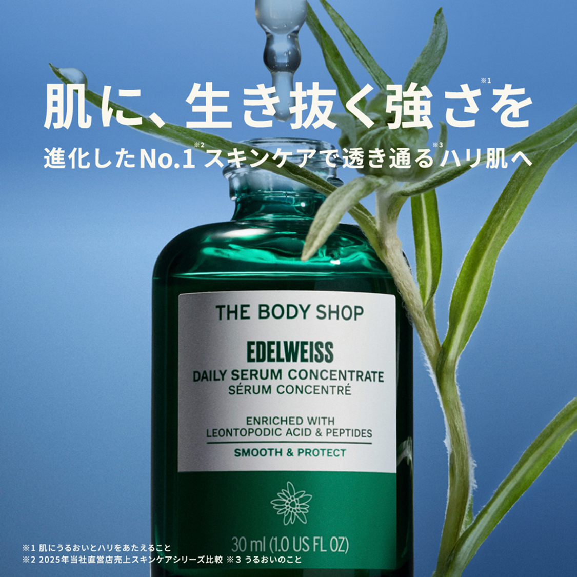 THE BODY SHOP