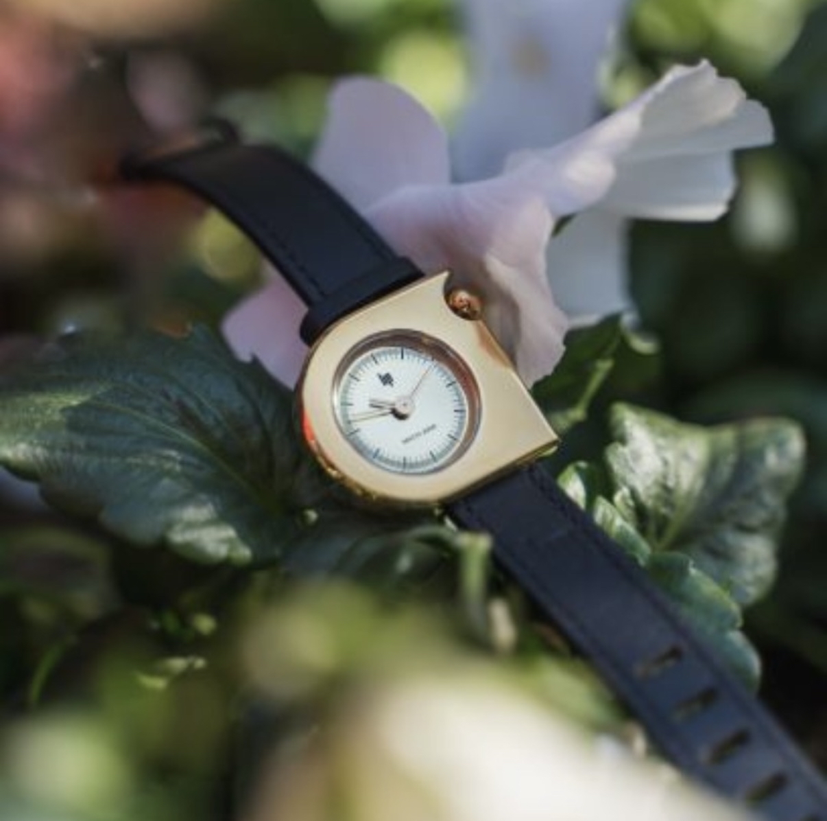 ショップニュースサムネ画像