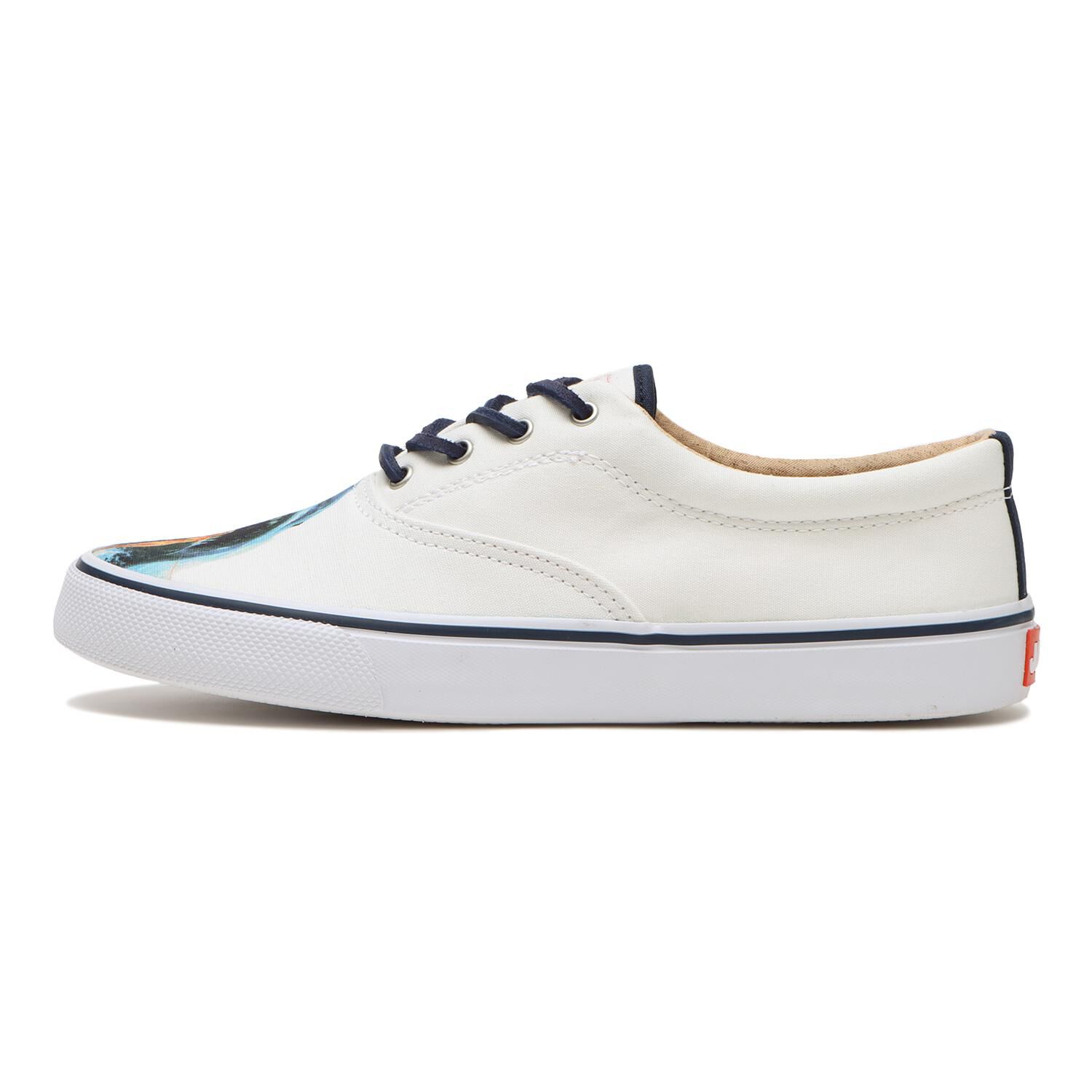 ファッションメンズなら|【エービーシー・マート/ABC-MART】 【SPERRY TOPSIDER】STRIPER II CVO JAWS